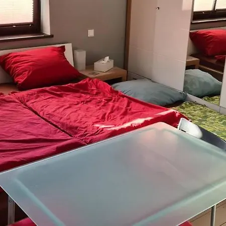 Private Room In Our Home With Free Vvo Ticket & Cats Pirna Exterior photo