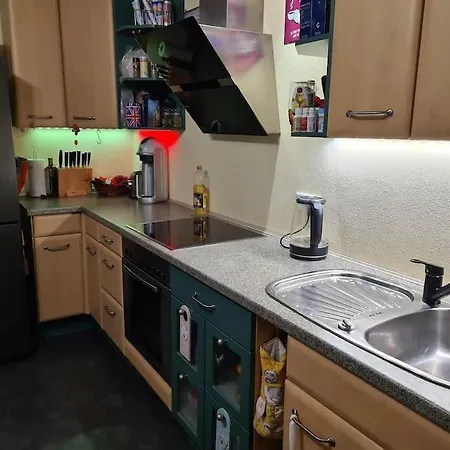 Private Room In Our Home With Free Vvo Ticket & Cats Pirna Exterior photo