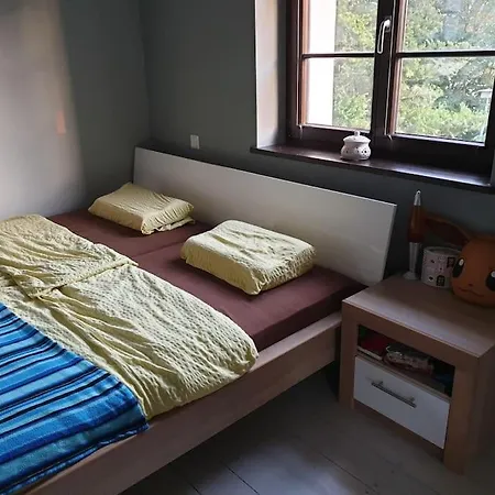 Private Room In Our Home With Free Vvo Ticket & Cats Pirna Exterior photo