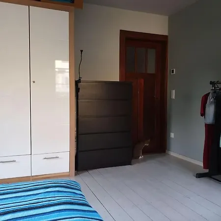 Private Room In Our Home With Free Vvo Ticket & Cats Pirna Exterior photo