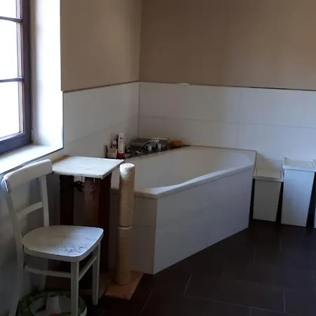 Private Room In Our Home With Free Vvo Ticket & Cats Pirna Exterior photo
