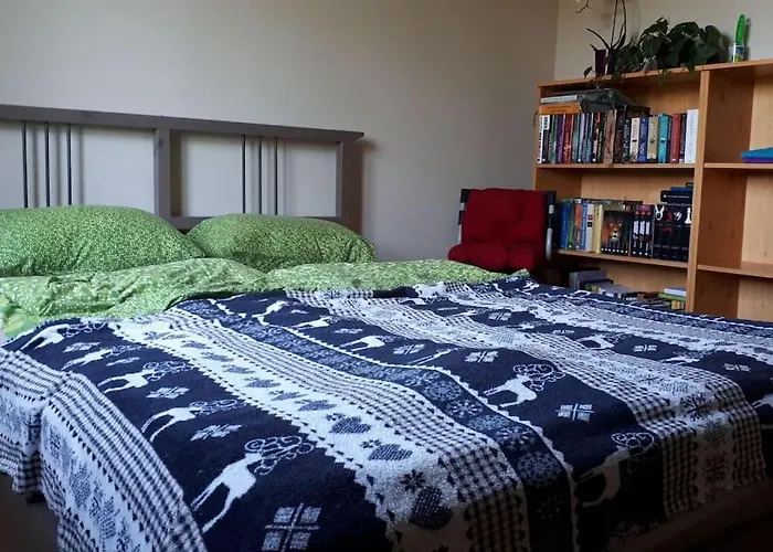 Private Room In Our Home With Free Vvo Ticket & Cats