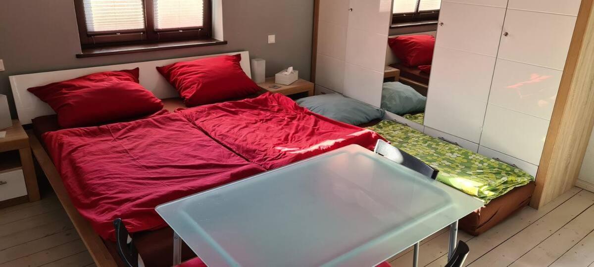 Homestay Private In Our With Free Vvo Ticket & Cats Pirna