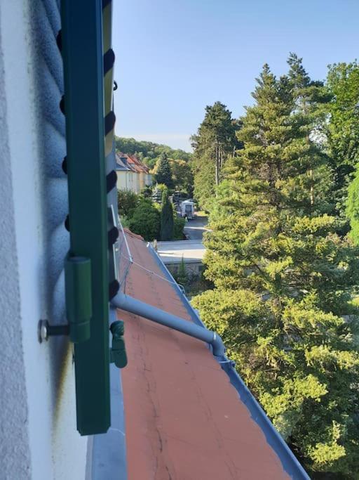 Homestay Private In Our With Free Vvo Ticket & Cats Pirna