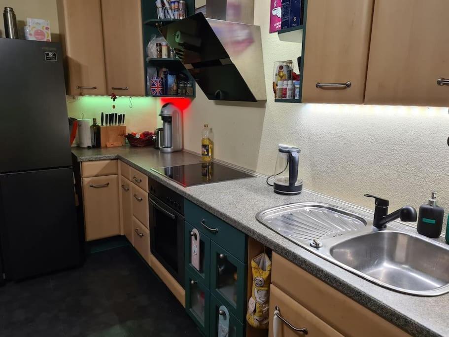 Private In Our With Free Vvo Ticket & Cats Homestay Pirna