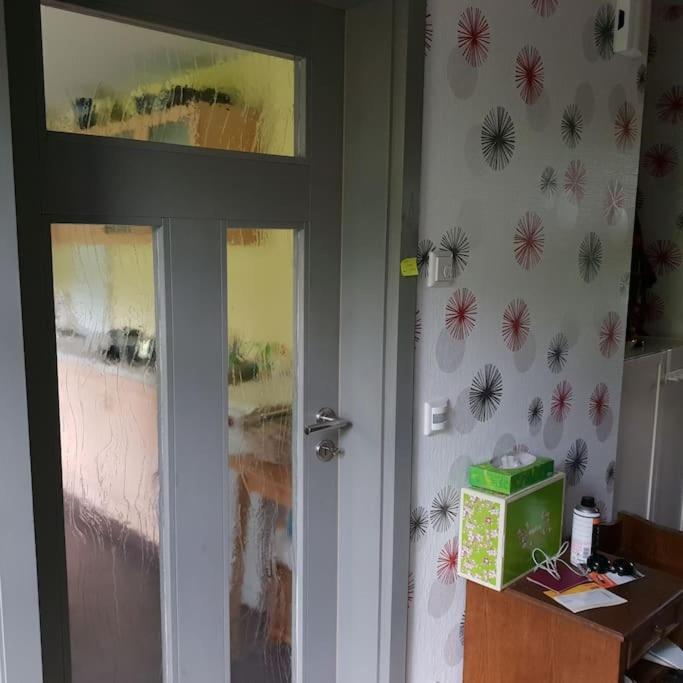 Private In Our With Free Vvo Ticket & Cats * Pirna