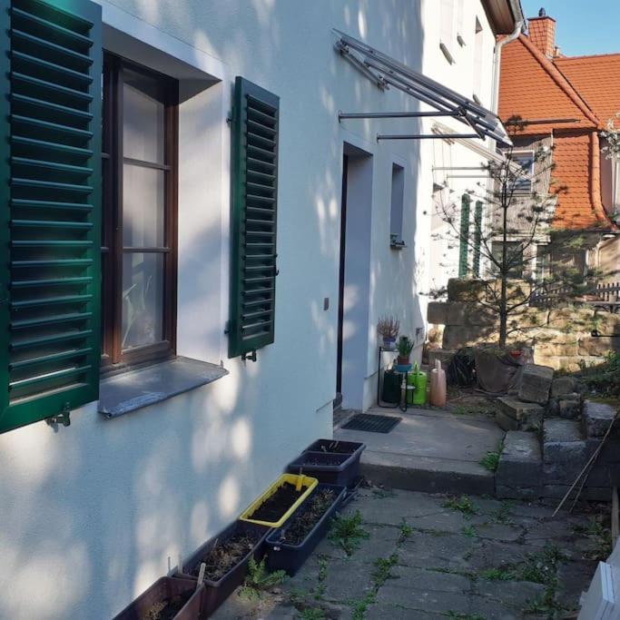 Private In Our With Free Vvo Ticket & Cats Pirna