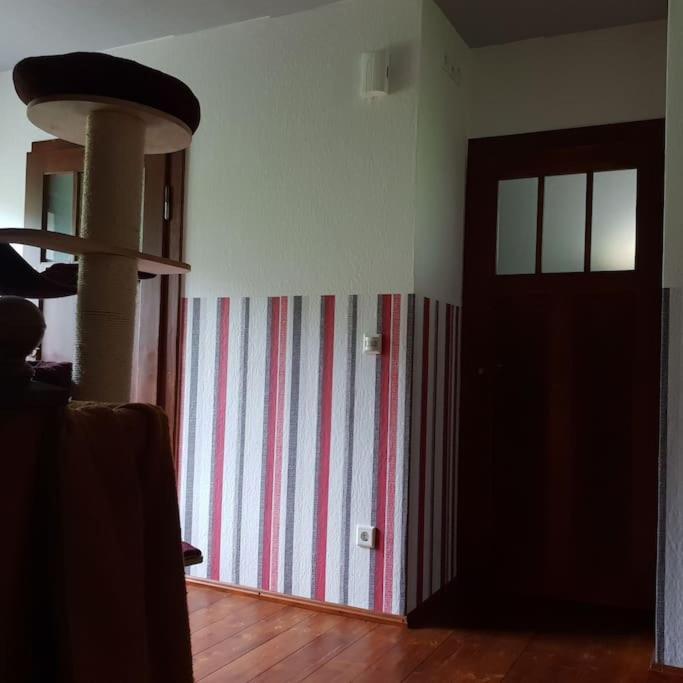 Private In Our With Free Vvo Ticket & Cats