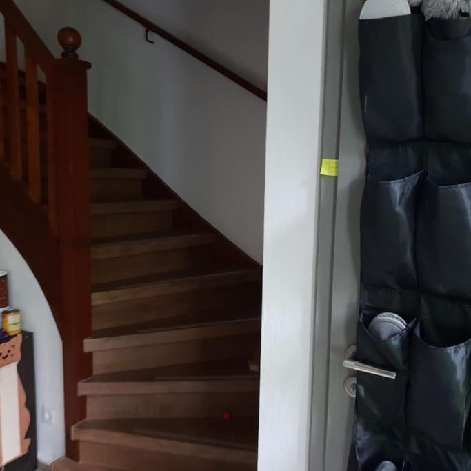 Homestay Private In Our With Free Vvo Ticket & Cats