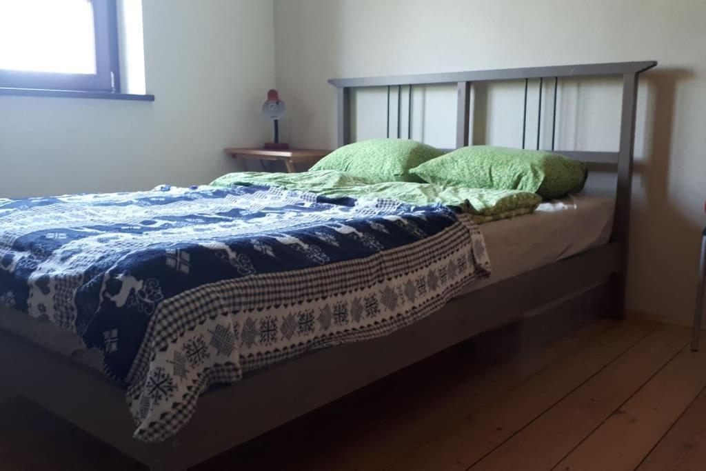 Homestay Private In Our With Free Vvo Ticket & Cats *