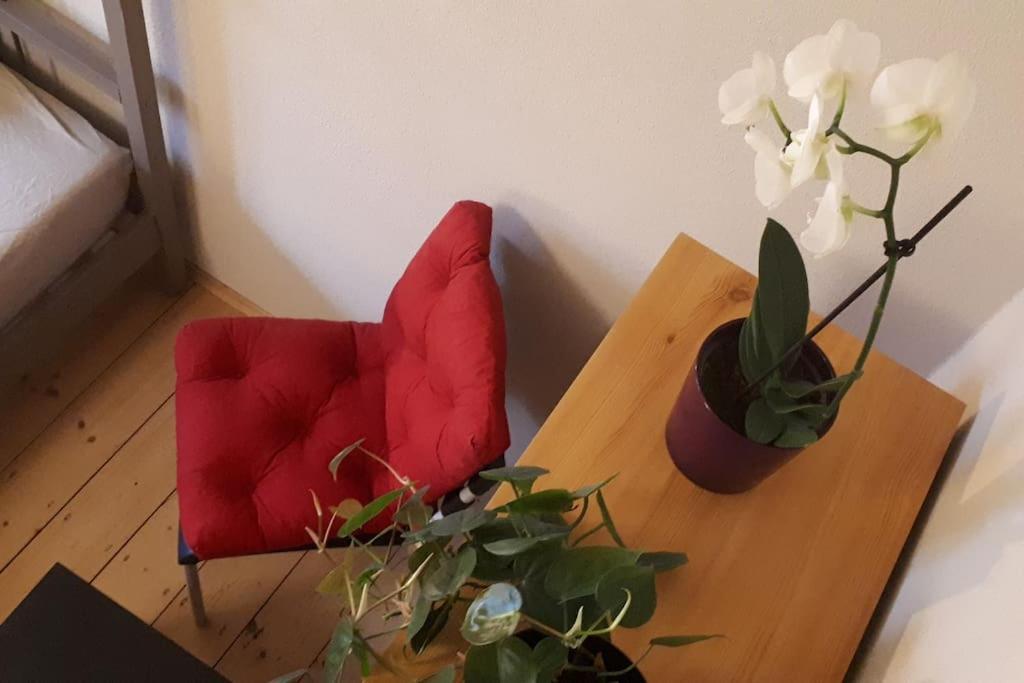 Private In Our With Free Vvo Ticket & Cats Habitación en casa particular *