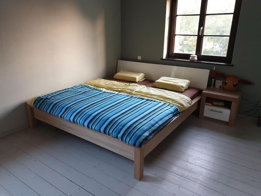 Private In Our With Free Vvo Ticket & Cats Habitación en casa particular