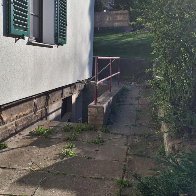 Private In Our With Free Vvo Ticket & Cats Habitación en casa particular Pirna